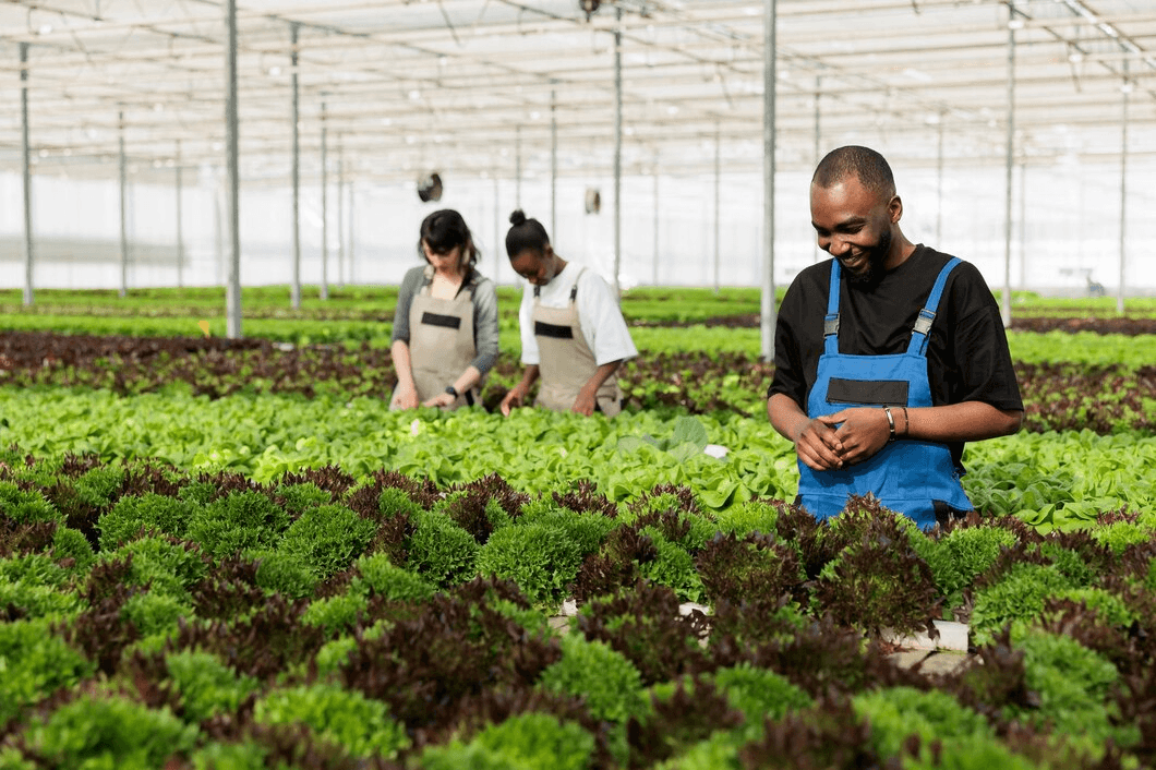 Agricultural science greenhouse